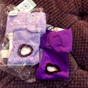 Female dog Heat diapers training small lot-3